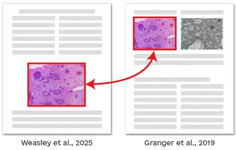 论文图片查重检测